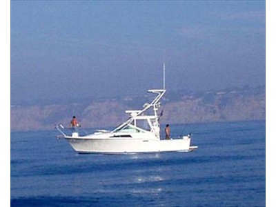 Friends of Mt. Diablo Boats